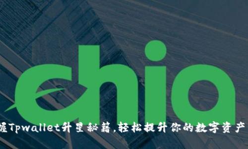 riaoti掌握Tpwallet升星秘籍，轻松提升你的数字资产管理能力！