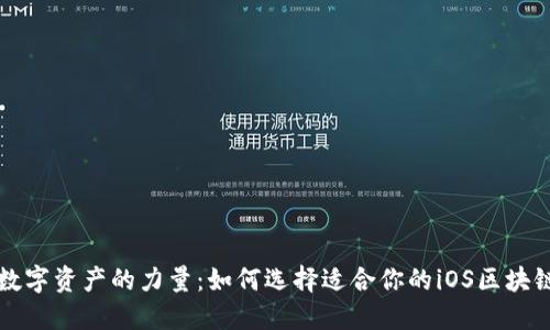 掌握数字资产的力量：如何选择适合你的iOS区块链钱包