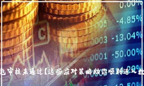 数字钱包审核未通过？这些应对策略助你顺利进入数字时代