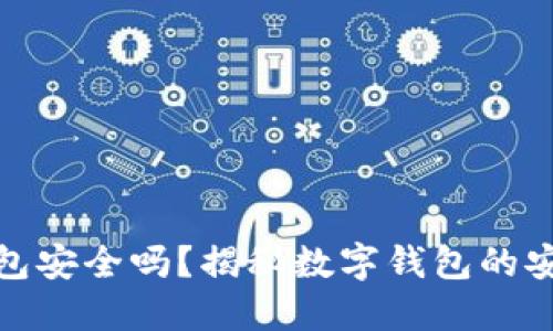 数字货币钱包安全吗？揭秘数字钱包的安全防范技巧
