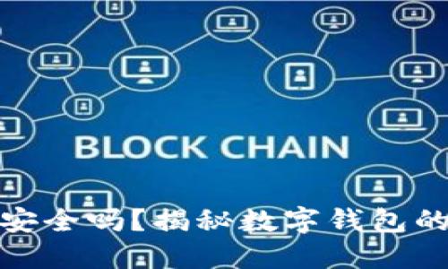 数字货币钱包安全吗？揭秘数字钱包的安全防范技巧