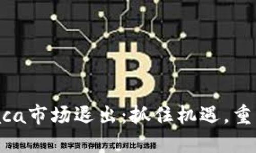 TPWalletRaca市场退出：抓住机遇，重塑投资方向！