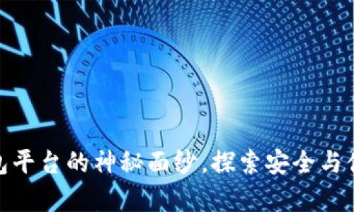 揭开全球最大的加密钱包平台的神秘面纱，探索安全与便利的数字财富管理之道