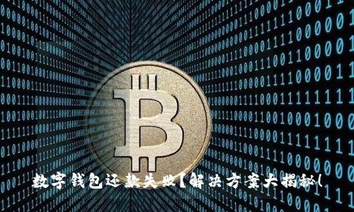数字钱包还款失败？解决方案大揭秘！