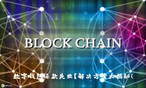 数字钱包还款失败？解决方案大揭秘！