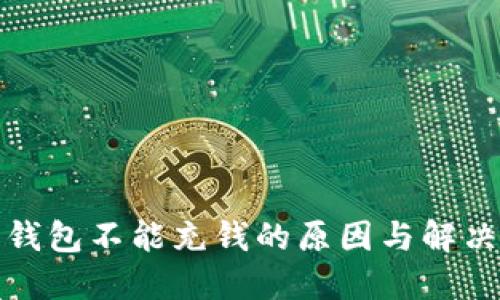 数字钱包不能充钱的原因与解决方案