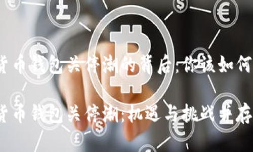 数字货币钱包关停潮的背后：你该如何应对？

数字货币钱包关停潮：机遇与挑战并存！