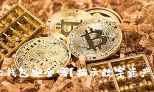 区块链里的钱包安全吗？揭示数字资产的安全防线