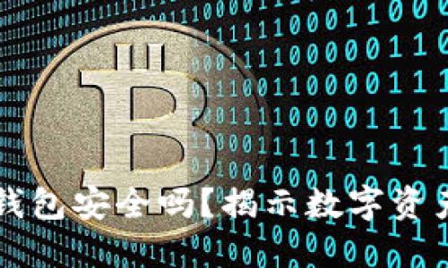 区块链里的钱包安全吗？揭示数字资产的安全防线
