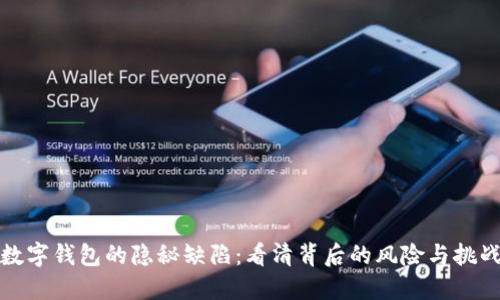 数字钱包的隐秘缺陷：看清背后的风险与挑战