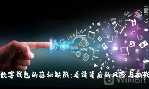 数字钱包的隐秘缺陷：看清背后的风险与挑战