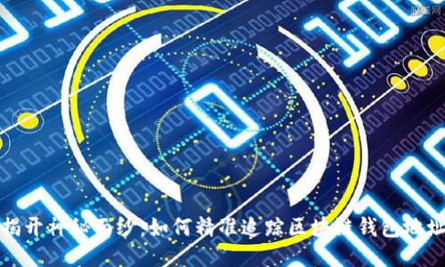 揭开神秘面纱：如何精准追踪区块链钱包地址