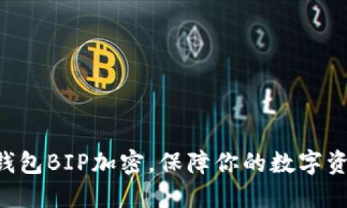 掌握纸钱包BIP加密，保障你的数字资产安全！