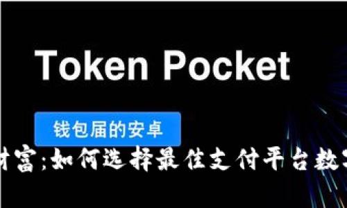 解锁数字财富：如何选择最佳支付平台数字货币钱包