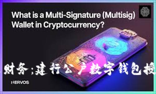 掌握未来财务：建行公户数字钱包授权全解析
