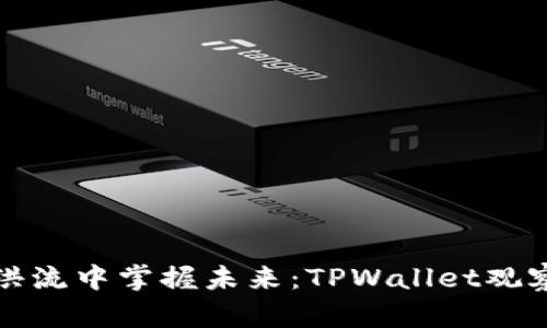 在数字资产洪流中掌握未来：TPWallet观察钱包的力量