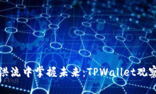 在数字资产洪流中掌握未来：TPWallet观察钱包的力量