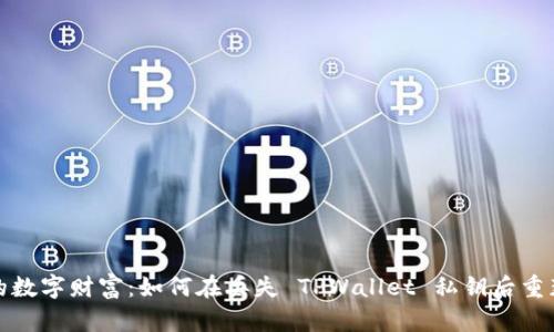 保护你的数字财富：如何在丢失 TPWallet 私钥后重获控制权