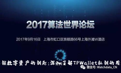 解锁数字资产的钥匙：深入了解TPWallet私钥的用途