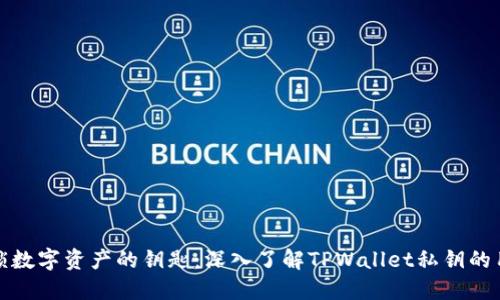 解锁数字资产的钥匙：深入了解TPWallet私钥的用途