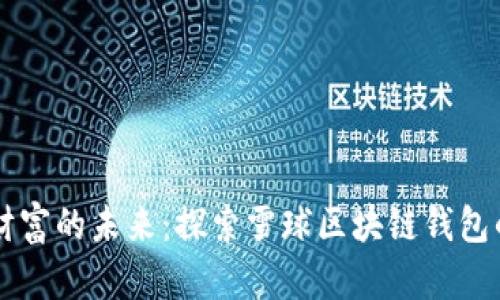 掌握数字财富的未来：探索雪球区块链钱包的无限可能