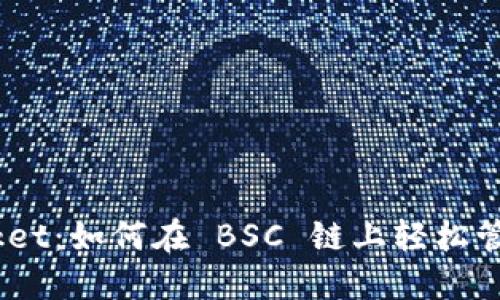 掌握 TokenPocket：如何在 BSC 链上轻松管理您的数字资产
