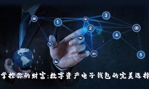 掌控你的财富：数字资产电子钱包的完美选择