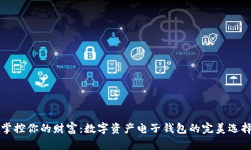 掌控你的财富：数字资产电子钱包的完美选择