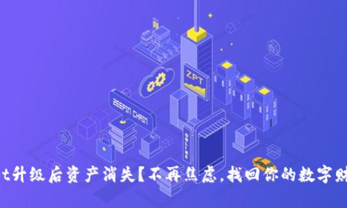 TPWallet升级后资产消失？不再焦虑，找回你的数字财富之路！