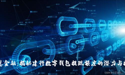 智慧金融：揭秘建行数字钱包提现额度的潜力与技巧