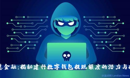智慧金融：揭秘建行数字钱包提现额度的潜力与技巧
