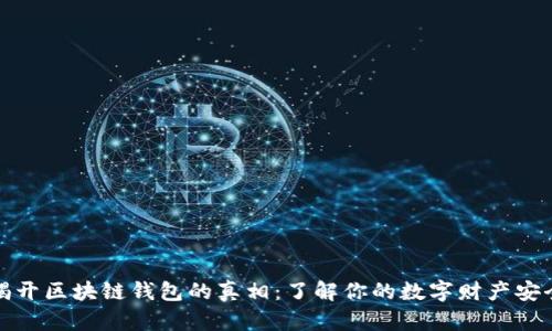 揭开区块链钱包的真相：了解你的数字财产安全