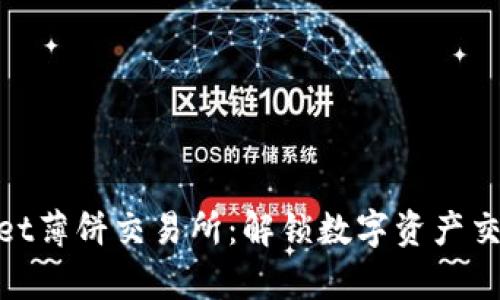 探索tpwallet薄饼交易所：解锁数字资产交易的新时代