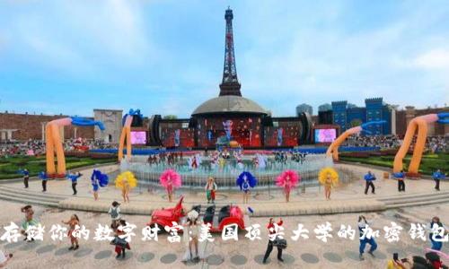 安全存储你的数字财富：美国顶尖大学的加密钱包选择