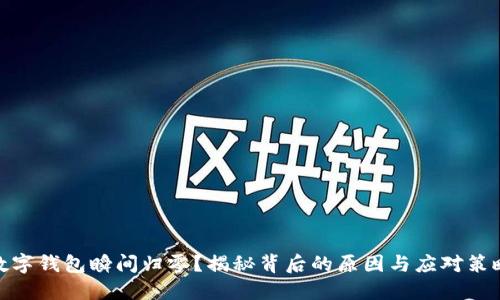 数字钱包瞬间归零？揭秘背后的原因与应对策略