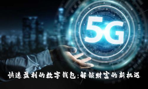 快速盈利的数字钱包：解锁财富的新机遇