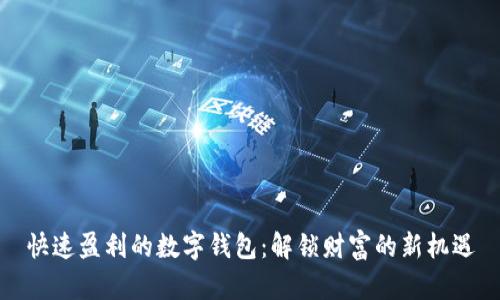 快速盈利的数字钱包：解锁财富的新机遇
