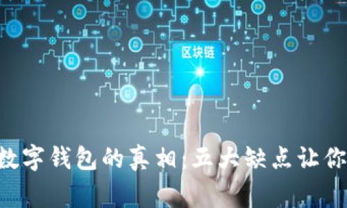 掌握数字钱包的真相：五大缺点让你警觉！