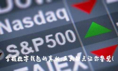 掌握数字钱包的真相：五大缺点让你警觉！