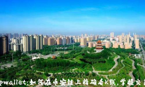 
揭秘tpwallet：如何在币安链上精确看K线，掌握交易节奏