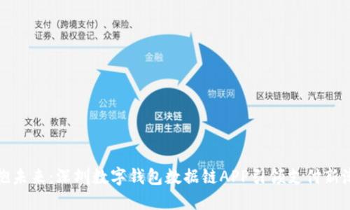 拥抱未来：深圳数字钱包数据链APP引领支付新潮流