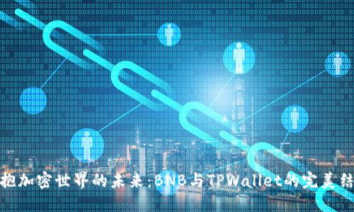 拥抱加密世界的未来：BNB与TPWallet的完美结合