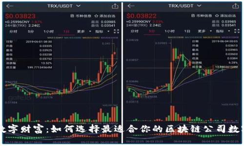 掌握数字财富：如何选择最适合你的区块链公司数字钱包