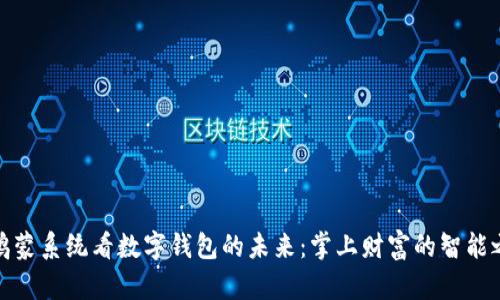 从鸿蒙系统看数字钱包的未来：掌上财富的智能之旅