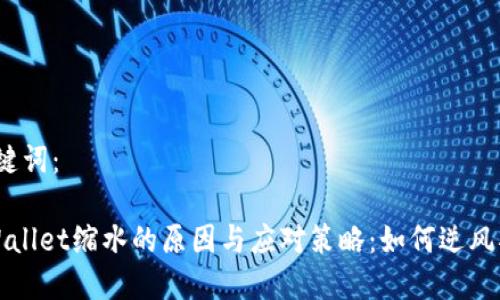 和关键词：

TP Wallet缩水的原因与应对策略：如何逆风翻盘？