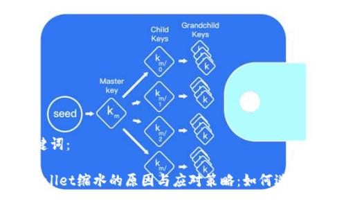 和关键词：

TP Wallet缩水的原因与应对策略：如何逆风翻盘？