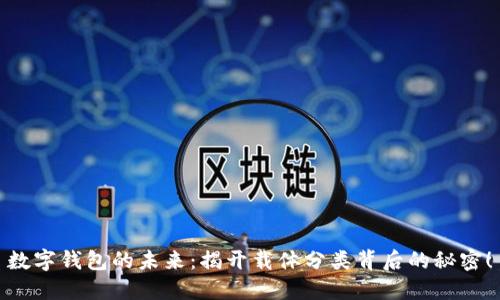 数字钱包的未来：揭开载体分类背后的秘密！