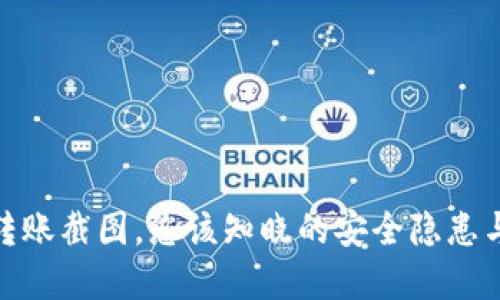 加密钱包转账截图，您该知晓的安全隐患与防护措施