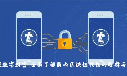 掌握数字财富：全面了解国内区块链钱包的选择与使用