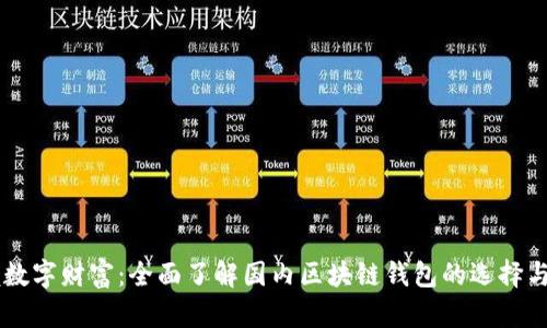 掌握数字财富：全面了解国内区块链钱包的选择与使用